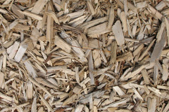 biomass boilers Murcot